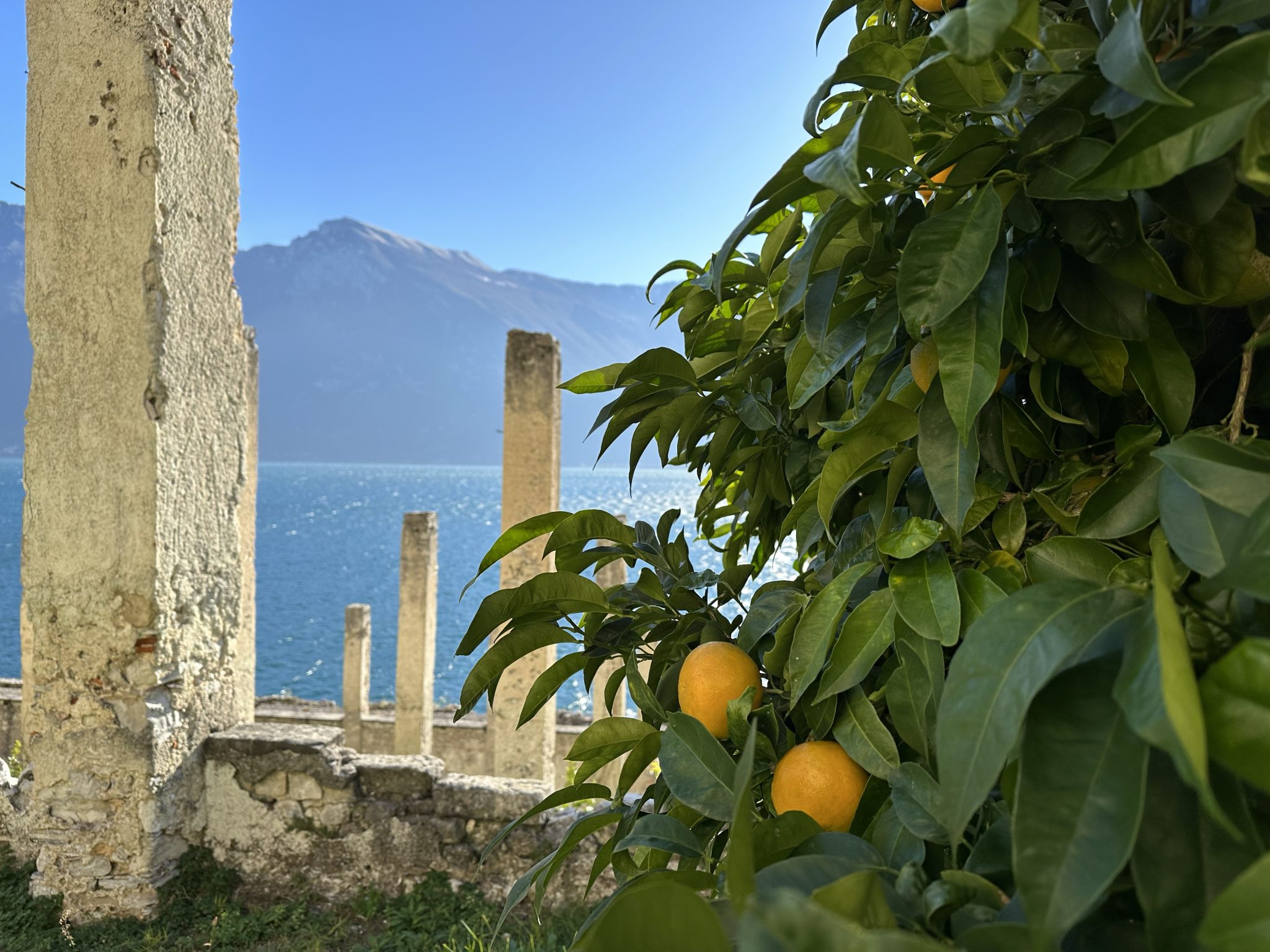 Bottega del frutto del Garda