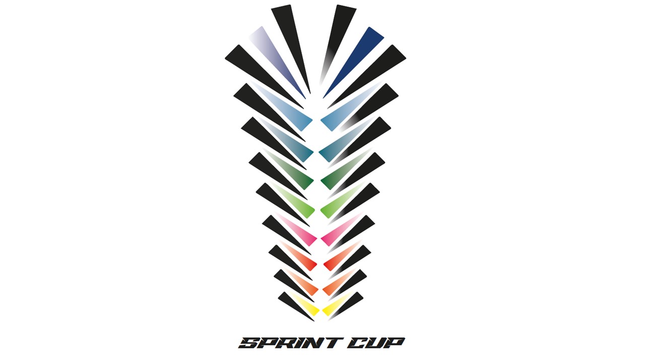 LOGO SPRINT